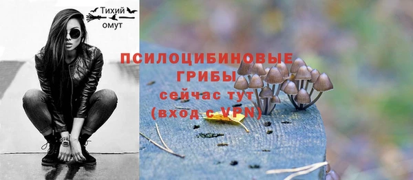соль ск Абинск