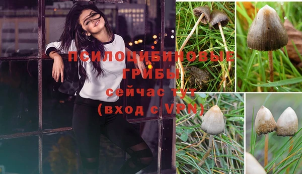 соль ск Абинск