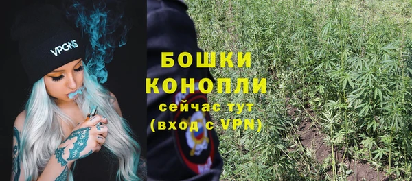 твердый Абаза